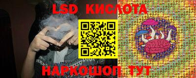 кокс Кингисепп
