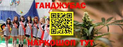 кокс Кингисепп
