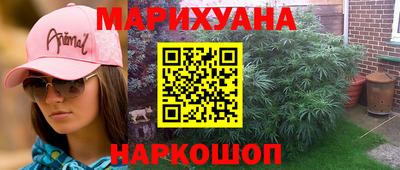 кокс Кингисепп
