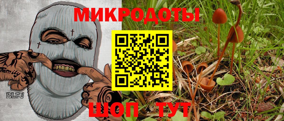 Псилоцибиновые грибы Magic Shrooms  Вход с VPN  Кострома  Псилоцибиновые грибы мухоморы 